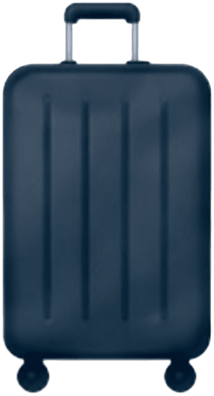 Large Suitcase